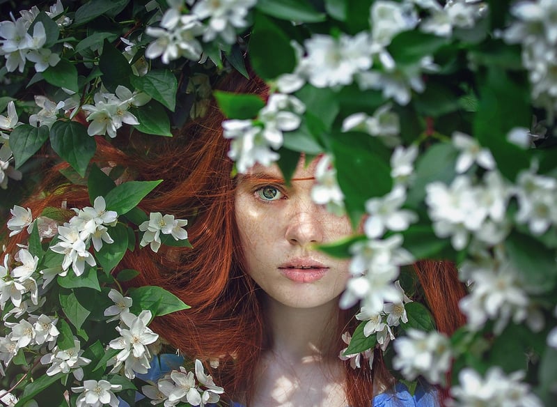Whimsical greenery